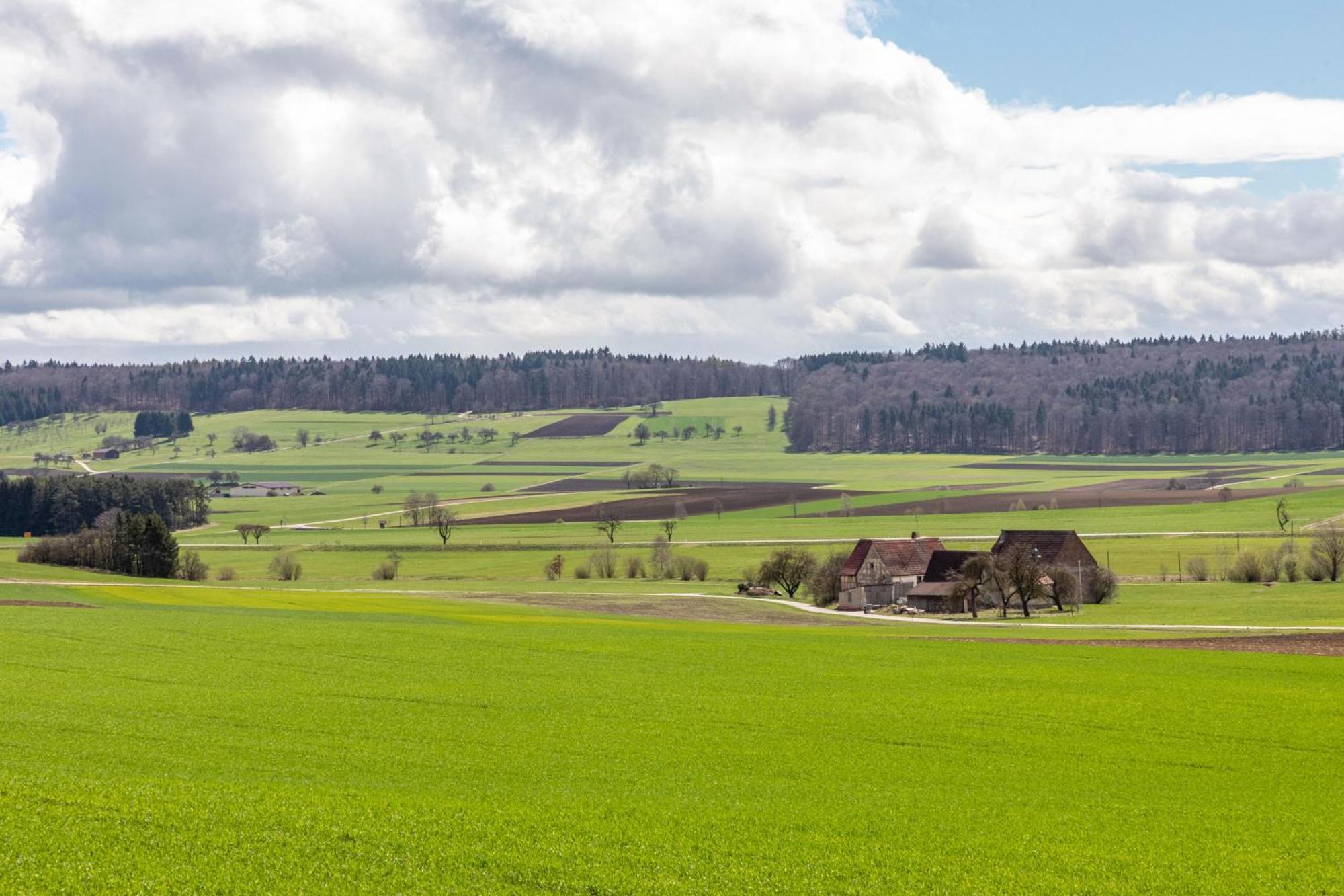 Ferienhaus Em Biehl Frankenhofen Екстериор снимка